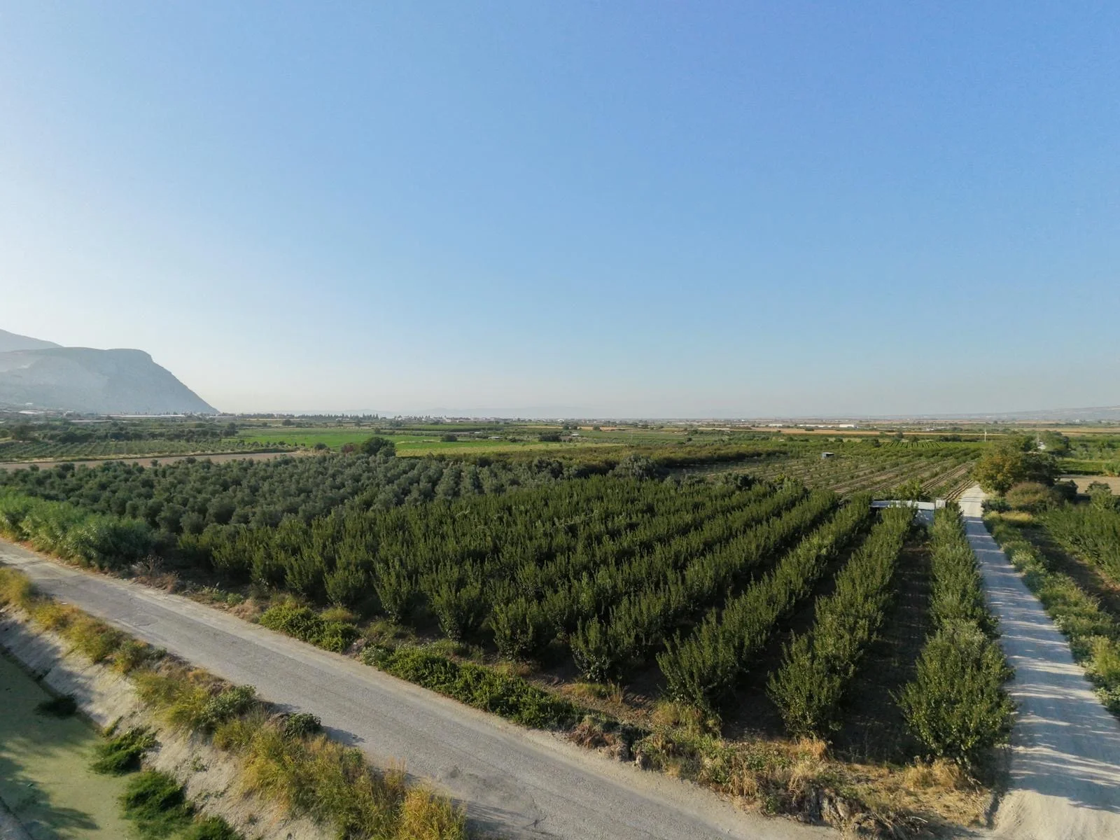 MANiSA ŞEHZADELER AŞAĞIÇOBANİSA’DA SU SİSTEMLİ & KONTEYNERLİ SATILIK MEYVE BAHÇESİ